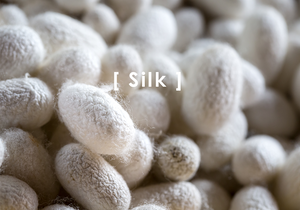 What is Silk?